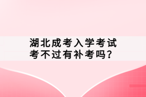 湖北成考入學(xué)考試考不過有補(bǔ)考嗎？