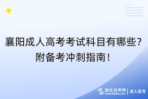 襄陽成人高考考試科目有哪些？附備考沖刺指南！