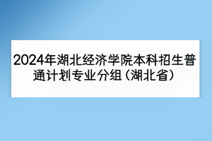 2024年湖北經(jīng)濟(jì)學(xué)院本科招生普通計(jì)劃專業(yè)分組（湖北?。?></a></div>
								<div   id=
