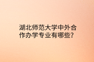 湖北師范大學中外合作辦學專業(yè)有哪些？