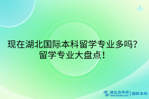 現(xiàn)在湖北國(guó)際本科留學(xué)專業(yè)多嗎？留學(xué)專業(yè)大盤(pán)點(diǎn)！