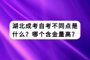 湖北成考自考不同點是什么？哪個含金量高？