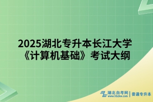 2025湖北專升本長(zhǎng)江大學(xué)《計(jì)算機(jī)基礎(chǔ)》考試大綱