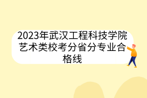 2023年武漢工程科技學(xué)院藝術(shù)類?？挤质》謱I(yè)合格線