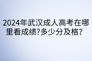 2024年武漢成人高考在哪里看成績?多少分及格？