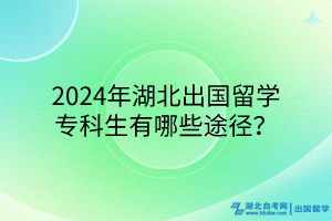 2024年湖北出國留學專科生有哪些途徑？