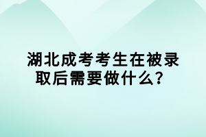 湖北成考考生在被錄取后需要做什么？