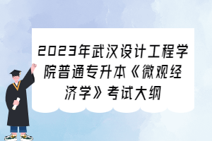 2023年武漢設(shè)計(jì)工程學(xué)院普通專升本《微觀經(jīng)濟(jì)學(xué)》考試大綱