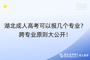 湖北成人高考可以報幾個專業(yè)？跨專業(yè)原則大公開！