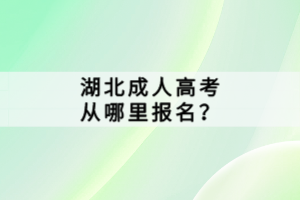 湖北成人高考從哪里報(bào)名？