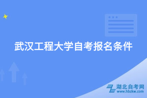 武漢工程大學自考報名條件