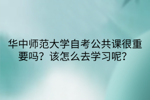 華中師范大學(xué)自考公共課很重要嗎？該怎么去學(xué)習(xí)呢？