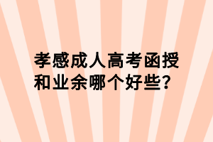 孝感成人高考函授和業(yè)余哪個(gè)好些？