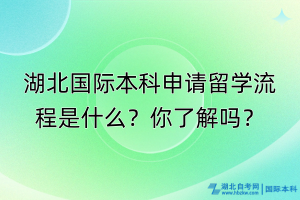 湖北國際本科申請留學(xué)流程是什么？你了解嗎？