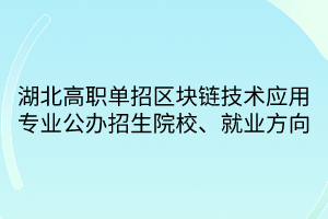 湖北高職單招區(qū)塊鏈技術(shù)應(yīng)用專業(yè)公辦招生院校、就業(yè)方向