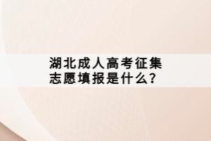 湖北成人高考征集志愿填報(bào)是什么？