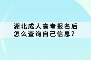 湖北成人高考報名后怎么查詢自己信息？