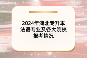 2024年湖北專升本法語專業(yè)及各大院校報考情況