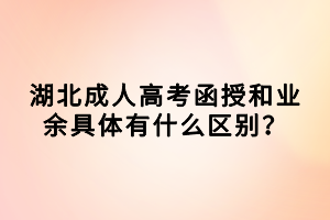 湖北成人高考函授和業(yè)余具體有什么區(qū)別？