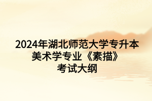 2024年湖北師范大學(xué)專升本美術(shù)學(xué)專業(yè)《素描》考試大綱