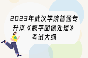 2023年武漢學(xué)院普通專升本《數(shù)字圖像處理》考試大綱