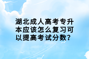 湖北成人高考專升本應(yīng)該怎么復(fù)習(xí)可以提高考試分?jǐn)?shù)？