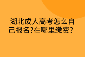 湖北成人高考怎么自己報(bào)名?在哪里繳費(fèi)？