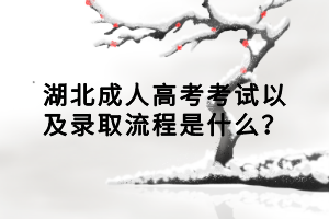 湖北成人高考考試以及錄取流程是什么？
