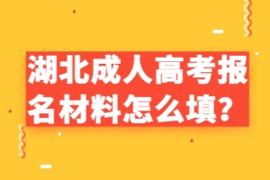 湖北成人高考報名材料怎么填？