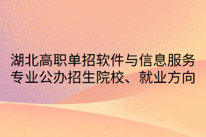 湖北高職單招軟件與信息服務(wù)專(zhuān)業(yè)公辦招生院校、就業(yè)方向