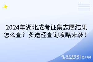 2024年湖北成考征集志愿結(jié)果怎么查？多途徑查詢攻略來襲！