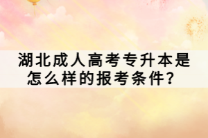 湖北成人高考專升本是怎么樣的報(bào)考條件？