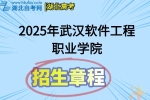 2025年武漢軟件工程職業(yè)學(xué)院招生章程
