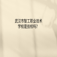 武漢市智工職業(yè)技術(shù)學校是技校嗎？