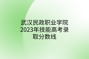 武漢民政職業(yè)學院2023年技能高考錄取分數(shù)線