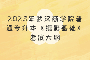 2023年武漢商學(xué)院普通專升本《攝影基礎(chǔ)》考試大綱