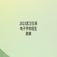 2023武漢儀表電子學(xué)校招生簡章