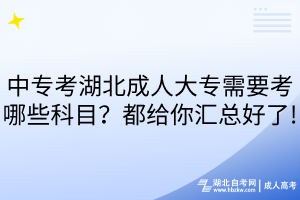 中?？己背扇舜髮Ｐ枰寄男┛颇?？都給你匯總好了!