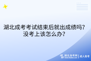 湖北成考考試結(jié)束后就出成績嗎？沒考上該怎么辦？