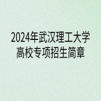 2024年武漢理工大學(xué)高校專項(xiàng)計(jì)劃招生簡(jiǎn)章