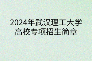 2024年武漢理工大學(xué)高校專項計劃招生簡章