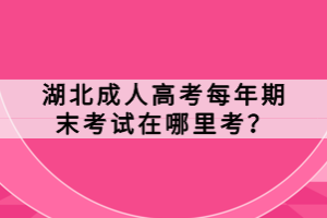 湖北成人高考每年期末考試在哪里考？