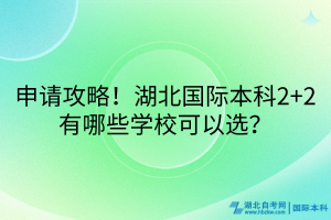 申請攻略！湖北國際本科2+2有哪些學(xué)?？梢赃x？