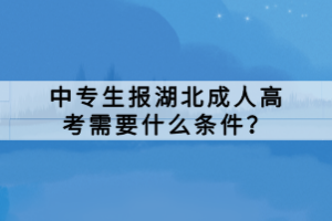 中專生報湖北成人高考需要什么條件？