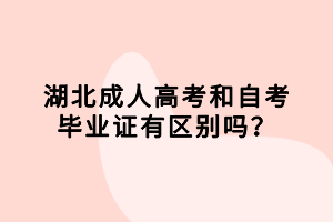 湖北成人高考和自考畢業(yè)證有區(qū)別嗎？