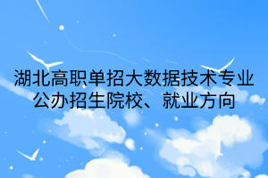 湖北高職單招大數(shù)據(jù)技術(shù)專(zhuān)業(yè)公辦招生院校、就業(yè)方向