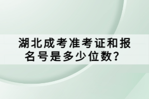 湖北成考準(zhǔn)考證和報名號是多少位數(shù)？