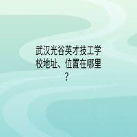 武漢市智工職業(yè)技術(shù)學(xué)校地址、位置在哪里？