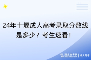 24年十堰成人高考錄取分數(shù)線是多少？考生速看！