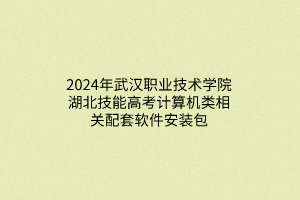 2024年武漢職業(yè)技術(shù)學院湖北技能高考計算機類相關(guān)配套軟件安裝包